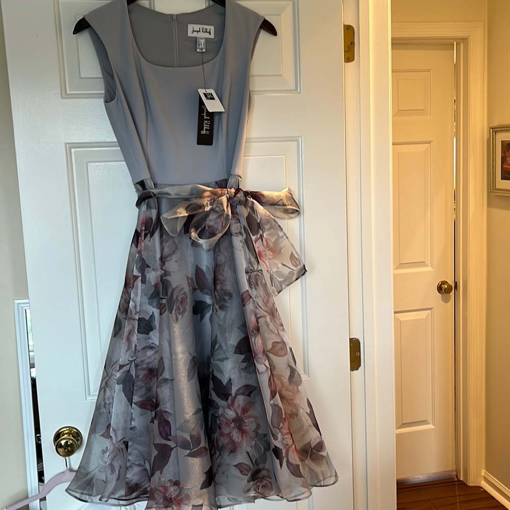 NWT Stunning fit and flare dress.